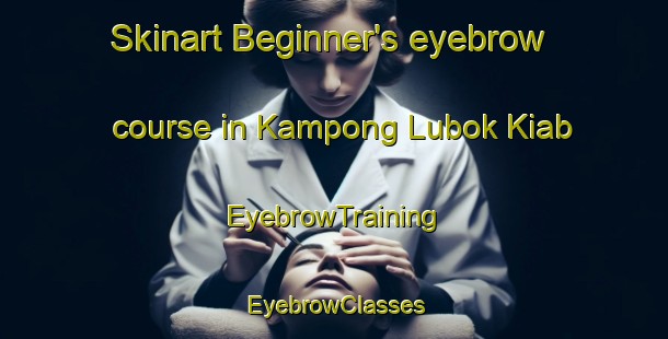 Skinart Beginner's eyebrow course in Kampong Lubok Kiab | EyebrowTraining | EyebrowClasses | SkinartTraining-Malaysia