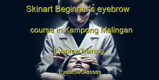 Skinart Beginner's eyebrow course in Kampong Malingan | EyebrowTraining | EyebrowClasses | SkinartTraining-Malaysia