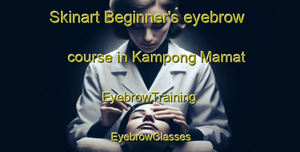 Skinart Beginner's eyebrow course in Kampong Mamat | EyebrowTraining | EyebrowClasses | SkinartTraining-Malaysia