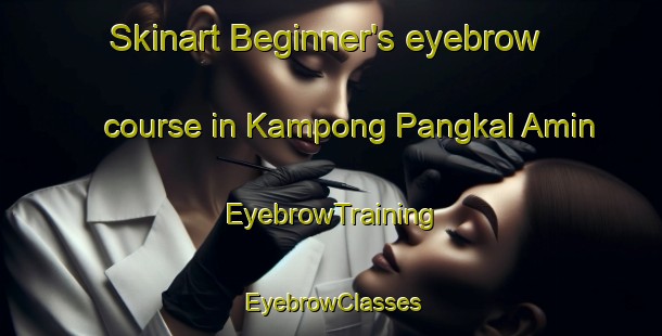 Skinart Beginner's eyebrow course in Kampong Pangkal Amin | EyebrowTraining | EyebrowClasses | SkinartTraining-Malaysia