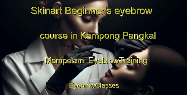 Skinart Beginner's eyebrow course in Kampong Pangkal Mempelam | EyebrowTraining | EyebrowClasses | SkinartTraining-Malaysia