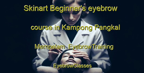 Skinart Beginner's eyebrow course in Kampong Pangkal Mempelam | EyebrowTraining | EyebrowClasses | SkinartTraining-Malaysia