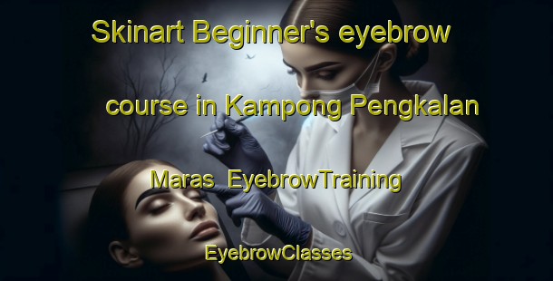Skinart Beginner's eyebrow course in Kampong Pengkalan Maras | EyebrowTraining | EyebrowClasses | SkinartTraining-Malaysia