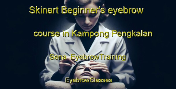 Skinart Beginner's eyebrow course in Kampong Pengkalan Sena | EyebrowTraining | EyebrowClasses | SkinartTraining-Malaysia