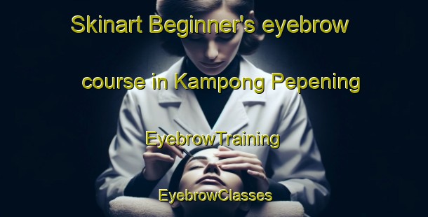 Skinart Beginner's eyebrow course in Kampong Pepening | EyebrowTraining | EyebrowClasses | SkinartTraining-Malaysia