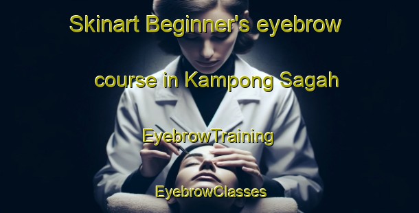 Skinart Beginner's eyebrow course in Kampong Sagah | EyebrowTraining | EyebrowClasses | SkinartTraining-Malaysia