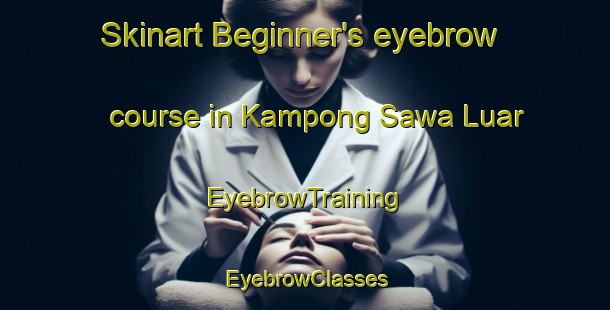 Skinart Beginner's eyebrow course in Kampong Sawa Luar | EyebrowTraining | EyebrowClasses | SkinartTraining-Malaysia