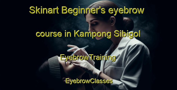 Skinart Beginner's eyebrow course in Kampong Sibigol | EyebrowTraining | EyebrowClasses | SkinartTraining-Malaysia