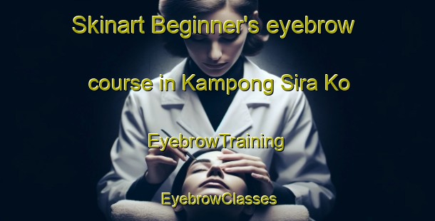 Skinart Beginner's eyebrow course in Kampong Sira Ko | EyebrowTraining | EyebrowClasses | SkinartTraining-Malaysia