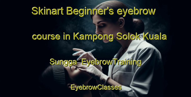 Skinart Beginner's eyebrow course in Kampong Solok Kuala Sungga | EyebrowTraining | EyebrowClasses | SkinartTraining-Malaysia