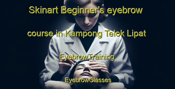 Skinart Beginner's eyebrow course in Kampong Telok Lipat | EyebrowTraining | EyebrowClasses | SkinartTraining-Malaysia