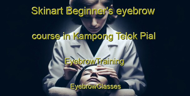 Skinart Beginner's eyebrow course in Kampong Telok Pial | EyebrowTraining | EyebrowClasses | SkinartTraining-Malaysia