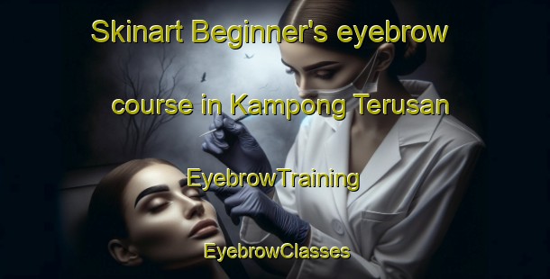 Skinart Beginner's eyebrow course in Kampong Terusan | EyebrowTraining | EyebrowClasses | SkinartTraining-Malaysia