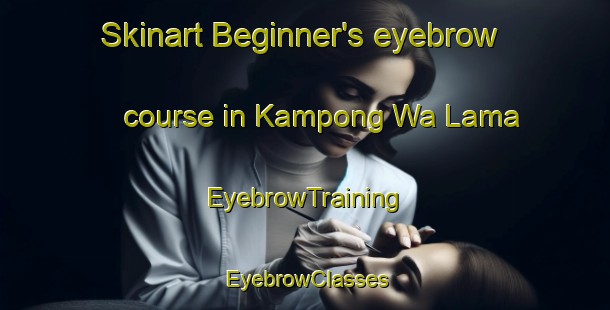 Skinart Beginner's eyebrow course in Kampong Wa Lama | EyebrowTraining | EyebrowClasses | SkinartTraining-Malaysia
