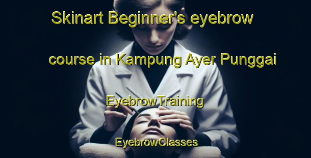 Skinart Beginner's eyebrow course in Kampung Ayer Punggai | EyebrowTraining | EyebrowClasses | SkinartTraining-Malaysia