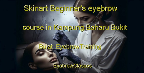 Skinart Beginner's eyebrow course in Kampung Baharu Bukit Bulat | EyebrowTraining | EyebrowClasses | SkinartTraining-Malaysia
