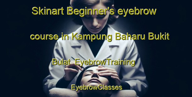 Skinart Beginner's eyebrow course in Kampung Baharu Bukit Bulat | EyebrowTraining | EyebrowClasses | SkinartTraining-Malaysia