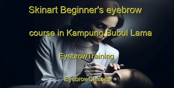 Skinart Beginner's eyebrow course in Kampung Bubul Lama | EyebrowTraining | EyebrowClasses | SkinartTraining-Malaysia
