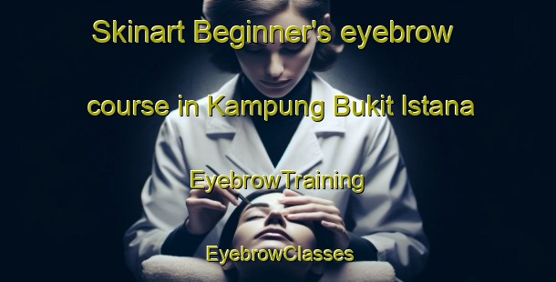 Skinart Beginner's eyebrow course in Kampung Bukit Istana | EyebrowTraining | EyebrowClasses | SkinartTraining-Malaysia