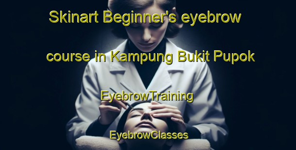Skinart Beginner's eyebrow course in Kampung Bukit Pupok | EyebrowTraining | EyebrowClasses | SkinartTraining-Malaysia