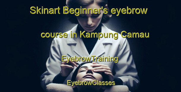 Skinart Beginner's eyebrow course in Kampung Camau | EyebrowTraining | EyebrowClasses | SkinartTraining-Malaysia