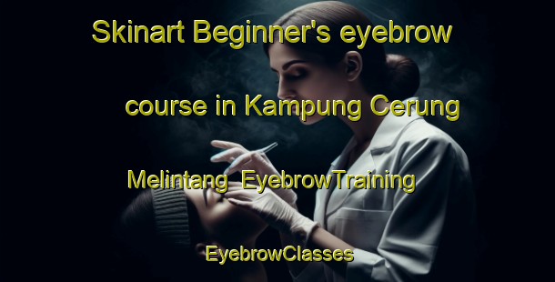 Skinart Beginner's eyebrow course in Kampung Cerung Melintang | EyebrowTraining | EyebrowClasses | SkinartTraining-Malaysia