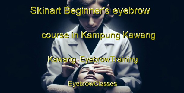 Skinart Beginner's eyebrow course in Kampung Kawang Kawang | EyebrowTraining | EyebrowClasses | SkinartTraining-Malaysia