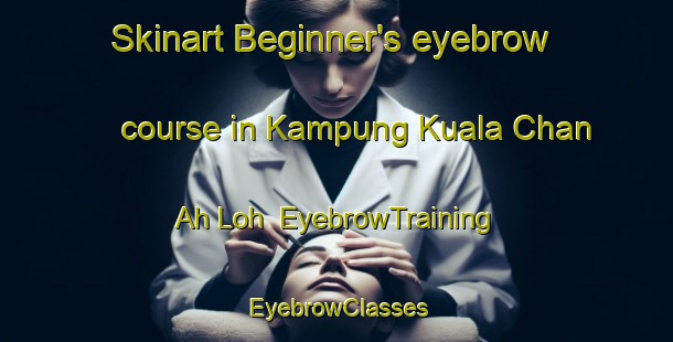Skinart Beginner's eyebrow course in Kampung Kuala Chan Ah Loh | EyebrowTraining | EyebrowClasses | SkinartTraining-Malaysia