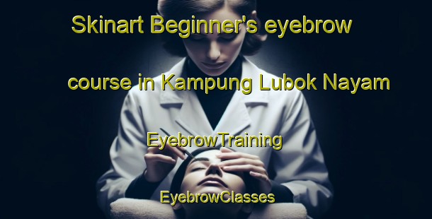 Skinart Beginner's eyebrow course in Kampung Lubok Nayam | EyebrowTraining | EyebrowClasses | SkinartTraining-Malaysia