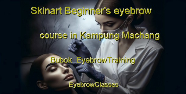 Skinart Beginner's eyebrow course in Kampung Machang Bubok | EyebrowTraining | EyebrowClasses | SkinartTraining-Malaysia