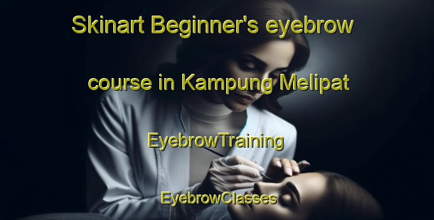 Skinart Beginner's eyebrow course in Kampung Melipat | EyebrowTraining | EyebrowClasses | SkinartTraining-Malaysia