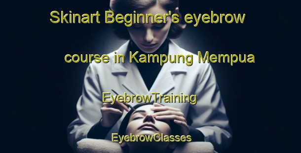 Skinart Beginner's eyebrow course in Kampung Mempua | EyebrowTraining | EyebrowClasses | SkinartTraining-Malaysia