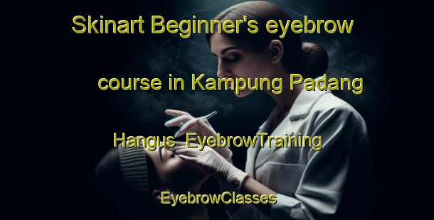 Skinart Beginner's eyebrow course in Kampung Padang Hangus | EyebrowTraining | EyebrowClasses | SkinartTraining-Malaysia
