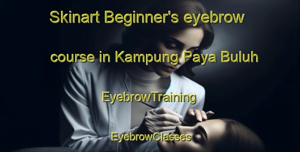 Skinart Beginner's eyebrow course in Kampung Paya Buluh | EyebrowTraining | EyebrowClasses | SkinartTraining-Malaysia