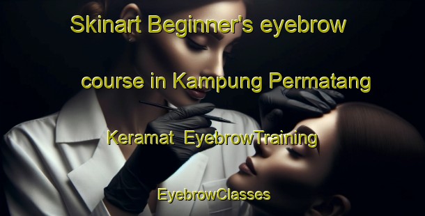 Skinart Beginner's eyebrow course in Kampung Permatang Keramat | EyebrowTraining | EyebrowClasses | SkinartTraining-Malaysia