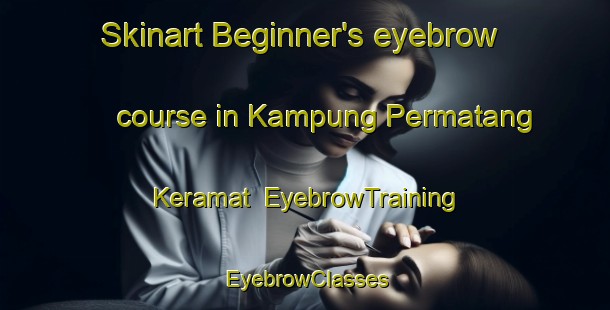 Skinart Beginner's eyebrow course in Kampung Permatang Keramat | EyebrowTraining | EyebrowClasses | SkinartTraining-Malaysia