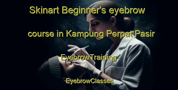 Skinart Beginner's eyebrow course in Kampung Perpat Pasir | EyebrowTraining | EyebrowClasses | SkinartTraining-Malaysia