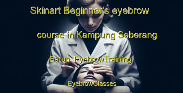 Skinart Beginner's eyebrow course in Kampung Seberang Baruh | EyebrowTraining | EyebrowClasses | SkinartTraining-Malaysia
