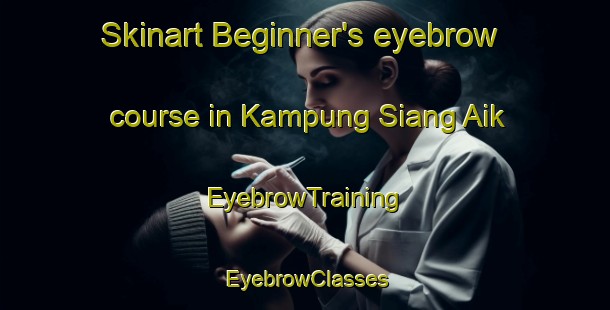 Skinart Beginner's eyebrow course in Kampung Siang Aik | EyebrowTraining | EyebrowClasses | SkinartTraining-Malaysia