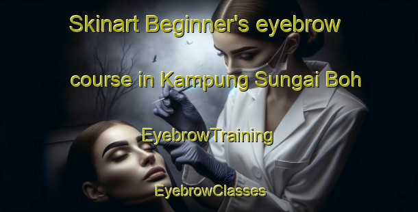 Skinart Beginner's eyebrow course in Kampung Sungai Boh | EyebrowTraining | EyebrowClasses | SkinartTraining-Malaysia