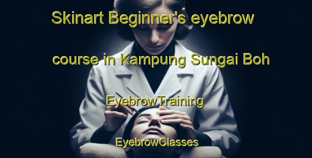 Skinart Beginner's eyebrow course in Kampung Sungai Boh | EyebrowTraining | EyebrowClasses | SkinartTraining-Malaysia