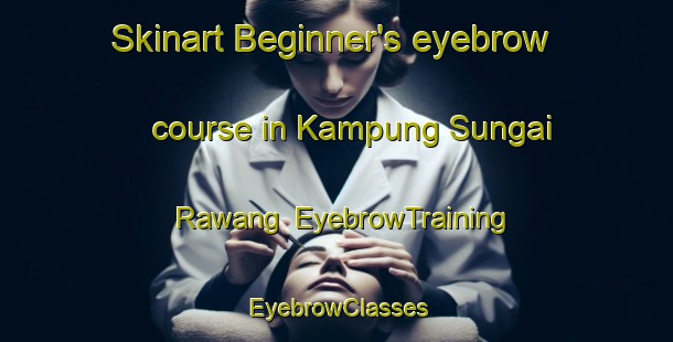 Skinart Beginner's eyebrow course in Kampung Sungai Rawang | EyebrowTraining | EyebrowClasses | SkinartTraining-Malaysia