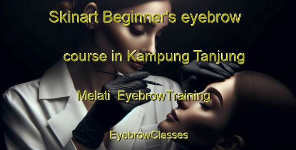 Skinart Beginner's eyebrow course in Kampung Tanjung Melati | EyebrowTraining | EyebrowClasses | SkinartTraining-Malaysia