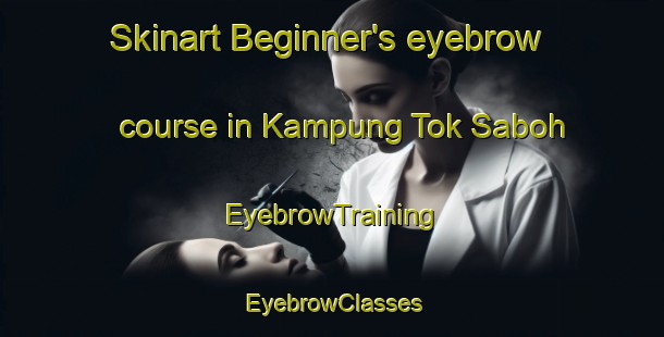 Skinart Beginner's eyebrow course in Kampung Tok Saboh | EyebrowTraining | EyebrowClasses | SkinartTraining-Malaysia