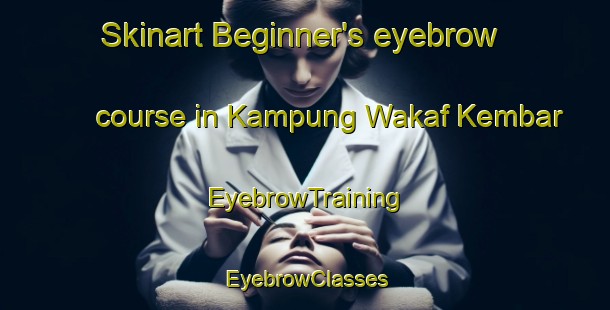 Skinart Beginner's eyebrow course in Kampung Wakaf Kembar | EyebrowTraining | EyebrowClasses | SkinartTraining-Malaysia