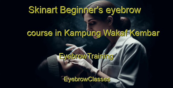 Skinart Beginner's eyebrow course in Kampung Wakaf Kembar | EyebrowTraining | EyebrowClasses | SkinartTraining-Malaysia