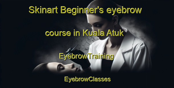 Skinart Beginner's eyebrow course in Kuala Atuk | EyebrowTraining | EyebrowClasses | SkinartTraining-Malaysia