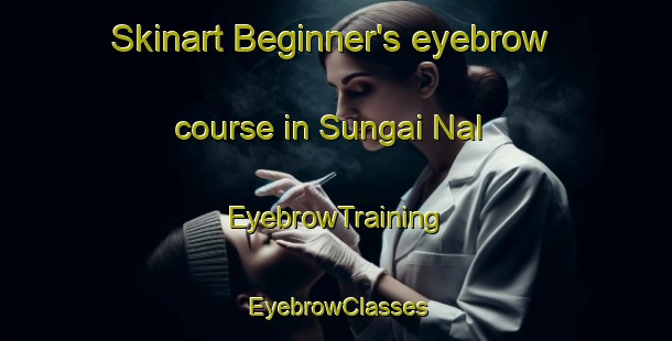 Skinart Beginner's eyebrow course in Sungai Nal | EyebrowTraining | EyebrowClasses | SkinartTraining-Malaysia