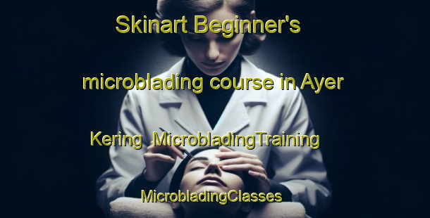 Skinart Beginner's microblading course in Ayer Kering | MicrobladingTraining | MicrobladingClasses | SkinartTraining-Malaysia