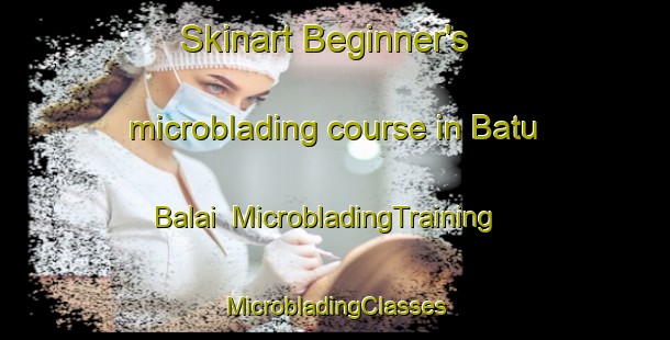 Skinart Beginner's microblading course in Batu Balai | #MicrobladingTraining #MicrobladingClasses #SkinartTraining-Malaysia